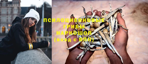 скорость Абаза